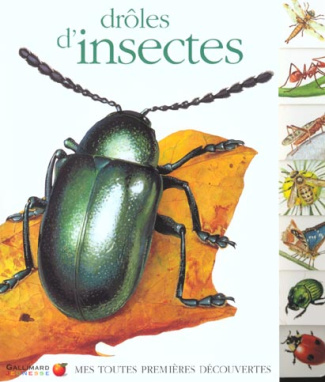 Drôle d'insectes