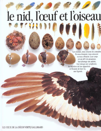 Le Nid, l'oeuf et l'oiseau