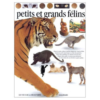 Les petits et grands félins