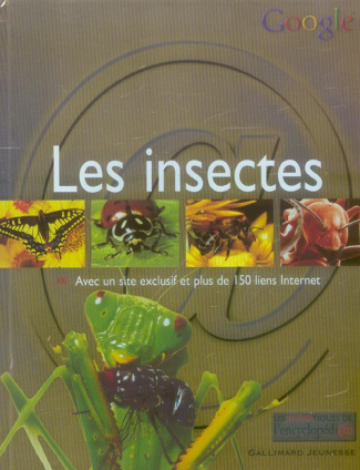Les insectes