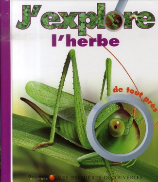J'explore l'herbe de tout près