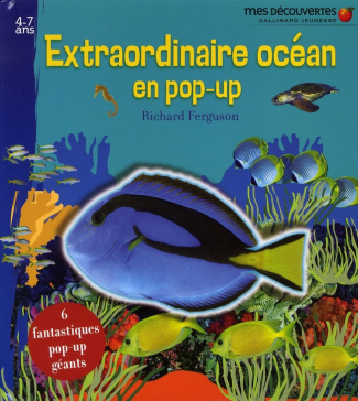 Extraordinaire océan en pop-up