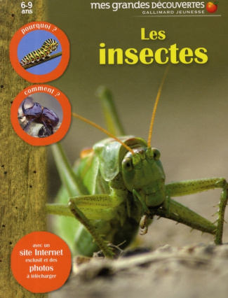 Les insectes