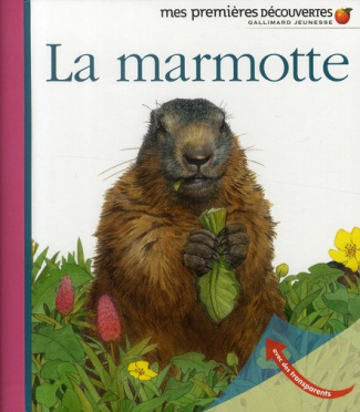 La marmotte
