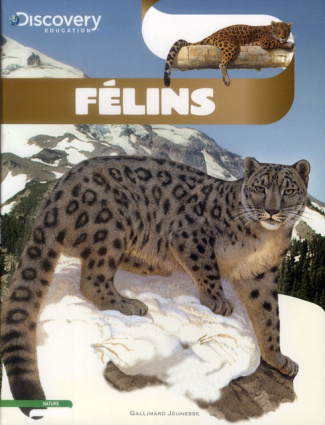 Félins