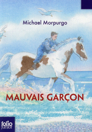 Mauvais garçon
