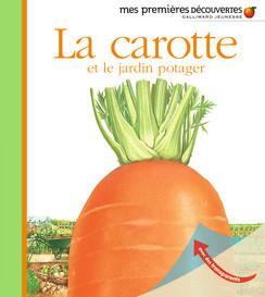 La carotte et le jardin potager