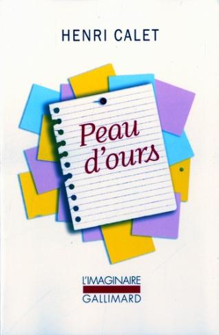 Peau d'ours. Notes pour un roman
