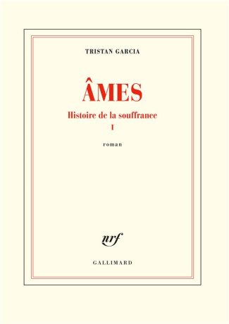 Histoire de la souffrance Tome 1 : Ames