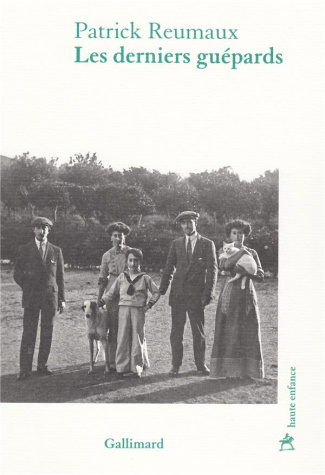 Les derniers guépards