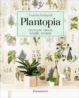 PLANTOPIA - CULTIVATE. CREATE. SOOTHE. NOURISH. - ILLUSTRATIONS, COULEUR