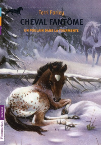 Cheval fantôme Tome 5 : Un poulain dans la tourmente