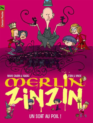 Merlin Zinzin Tome 7 : Un sort au poil !