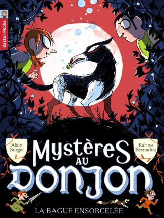 Mystères au donjon Tome 6 : La bague ensorcelée