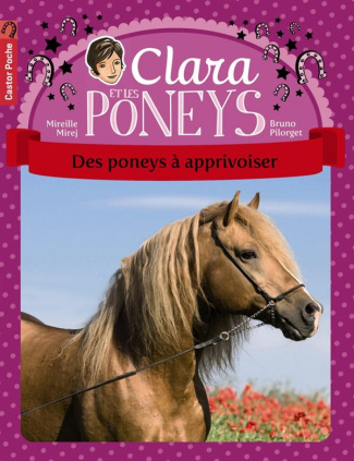 Clara et les poneys Tome 5 : Des poneys à apprivoiser