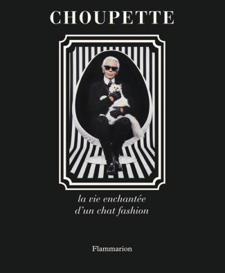 La vie enchantée d'un chat fashion