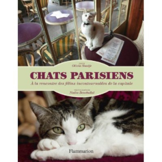 Chats parisiens