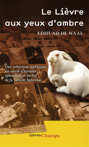 Le Lièvre aux yeux d'ambre