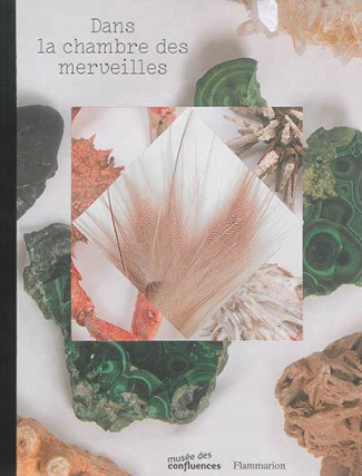 Dans la chambre des merveilles