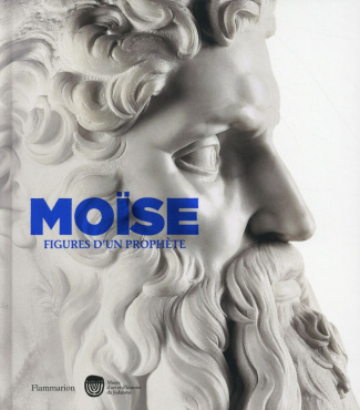 Moïse. Figures d'un prophète