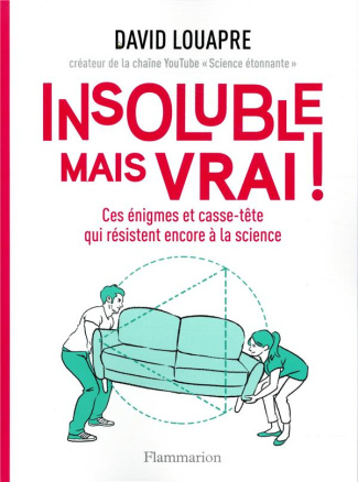 Insoluble mais vrai ! Ces énigmes et casse-tête qui résistent encore à la science