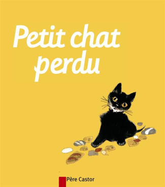 Petit chat perdu