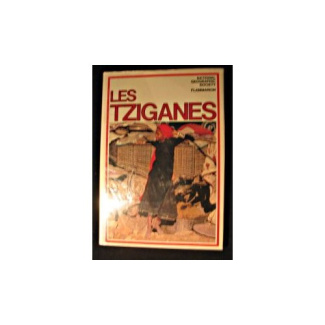 TZIGANES, ETERNELS VOYAGEURS DU MONDE (LES)