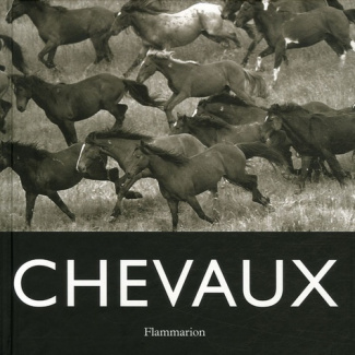 Chevaux