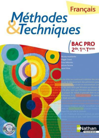 Francais Bac Pro 2de/1e/Tle. Méthodes et techniques, avec 1 CD-ROM