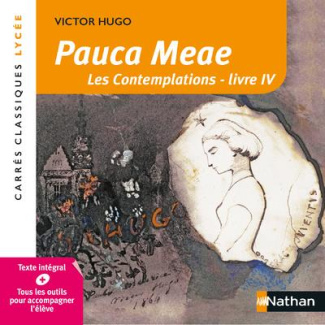 Pauca Meae. Les Contemplations - livre IV