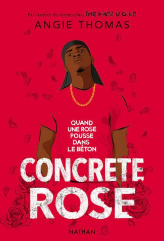 Concrete Rose. Quand une rose pousse dans le béton