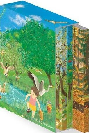 Saisons. Coffret de 4 livres accordéons