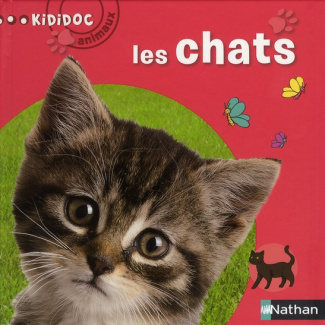 Le chat