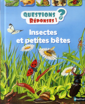 Insectes et petites bêtes