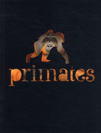 Primates