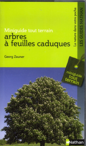 Arbres à feuilles caduques