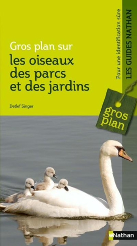 Oiseaux des parcs et des jardins