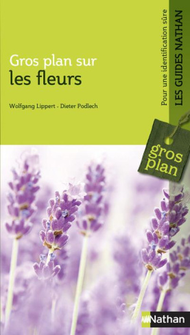Gros plan sur les fleurs