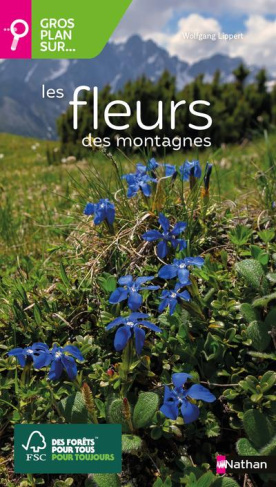 Les fleurs des montagnes