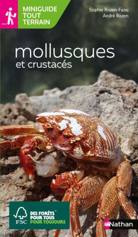 Mollusques et crustacés. La pêche à pied