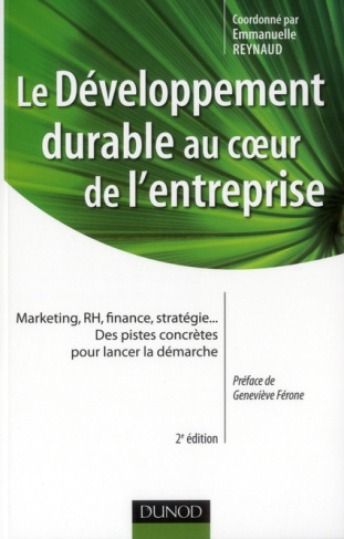 Le développement durable au coeur de l'entreprise. Marketing, RH, finance, stratégie... Des pistes c