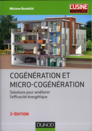 Cogénération et micro-cogénération. Solutions pour améliorer l'éfficacité énergétique, 2e édition