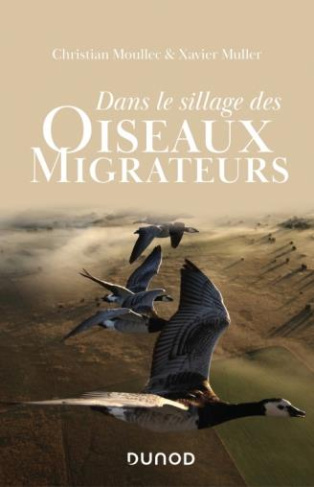 Dans le sillage des oiseaux migrateurs