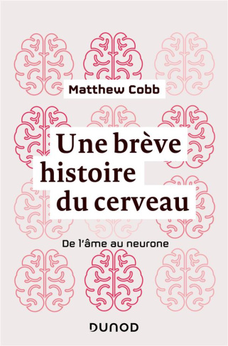 Une brève histoire du cerveau. De l'âme au neurone