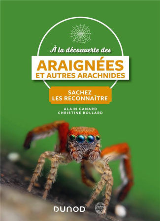 A la découverte des araignées et autres arachnides. Sachez les reconnaître