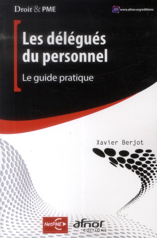 LES DELEGUES DU PERSONNEL. LE GUIDE PRATIQUE