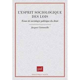 L'esprit sociologique des lois. Essai de sociologie politique du droit