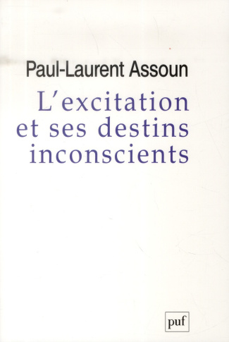 L'excitation et ses destins inconscients. Court Traité psychanalytique de l'excitation