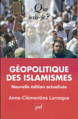 Géopolitique des islamismes. 2e édition