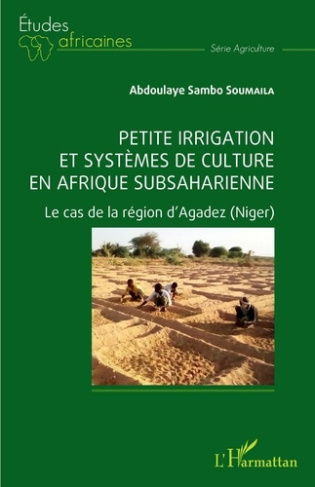 Petite irrigation et systèmes de culture en Afrique subsaharienne. Le cas de la région d'Agadez (Nig